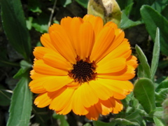 DSCN9173.JPG