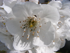 DSCN9174.JPG
