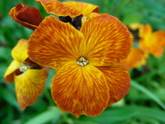 DSCN9175.JPG
