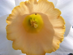 DSCN9176.JPG