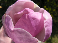 DSCN9177.JPG