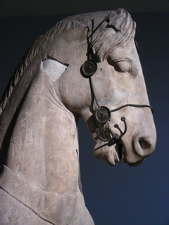 DSCN0145.JPG