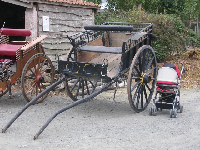 DSCN7187.JPG