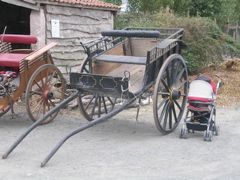 DSCN7187.JPG