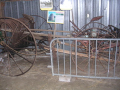 DSCN7206.JPG
