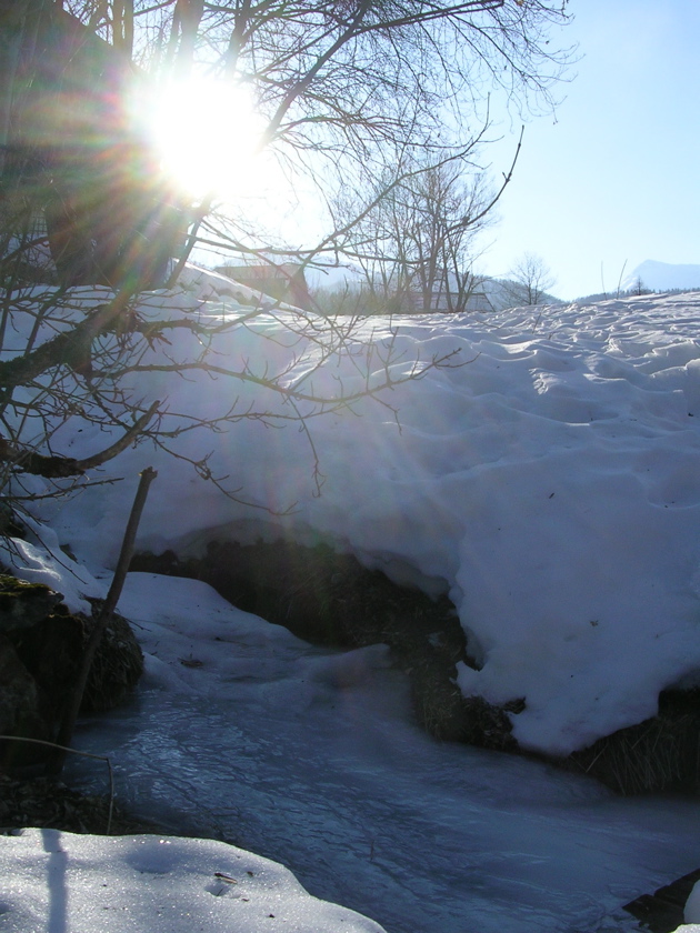 DSCN2516.JPG
