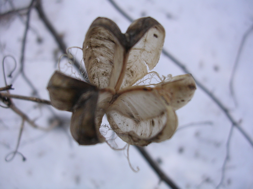 DSCN2518.JPG