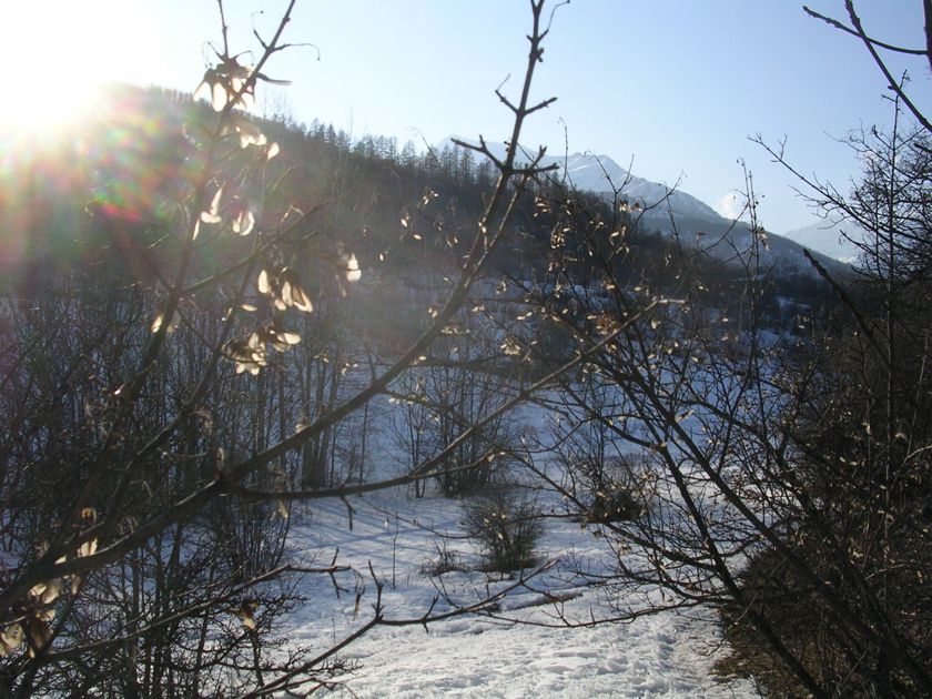 DSCN2524.JPG