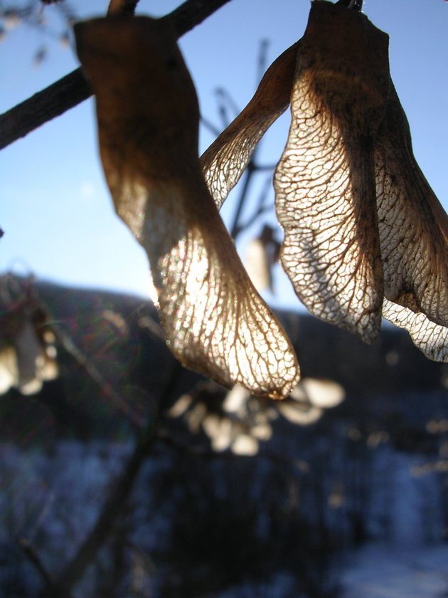 DSCN2526.JPG