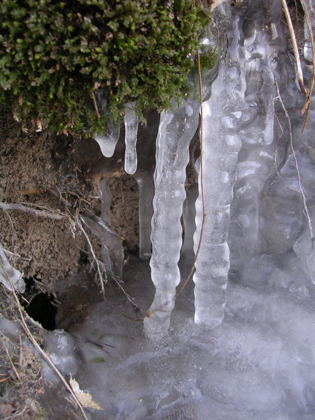 DSCN2529.JPG