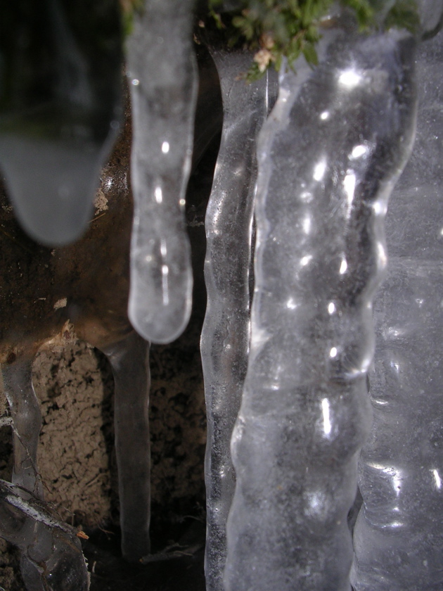 DSCN2531.JPG