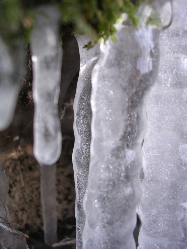 DSCN2532.JPG