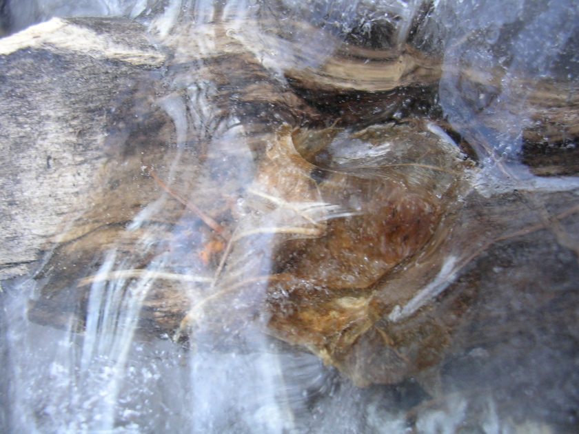 DSCN2533.JPG