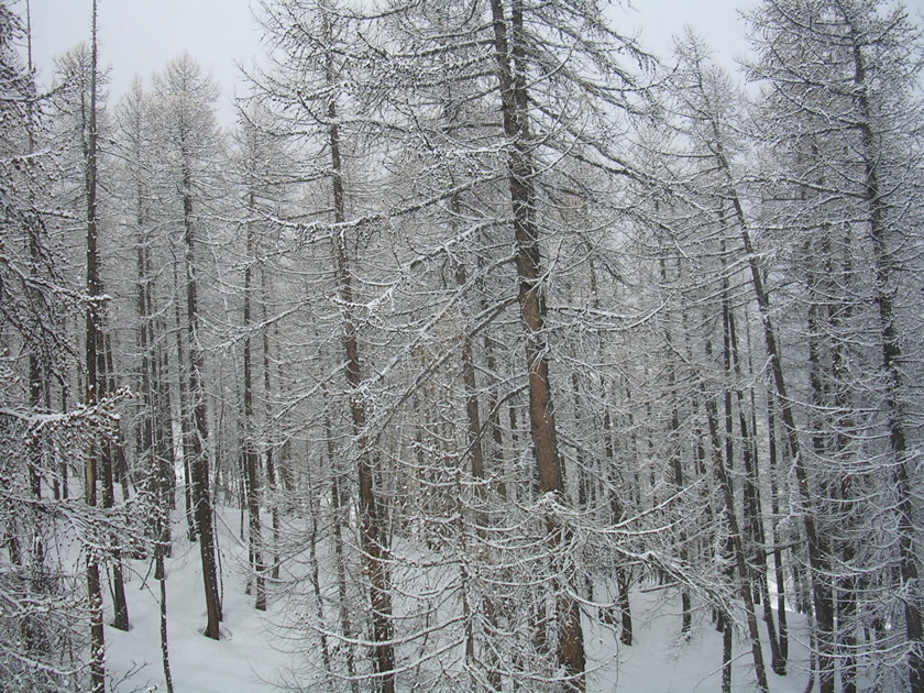 DSCN2616.JPG