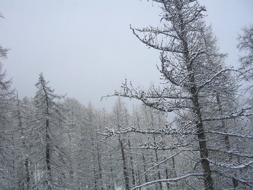 DSCN2617.JPG