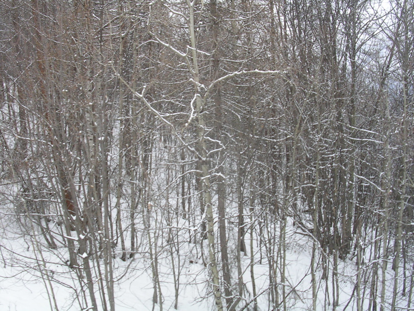 DSCN2621.JPG