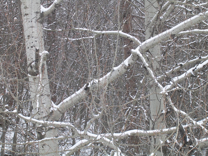 DSCN2622.JPG