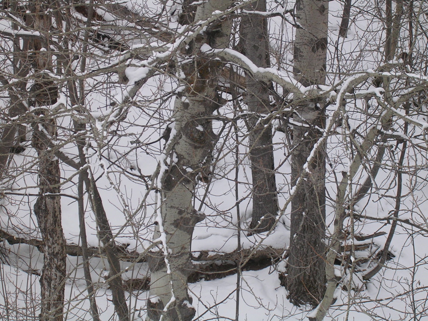 DSCN2623.JPG