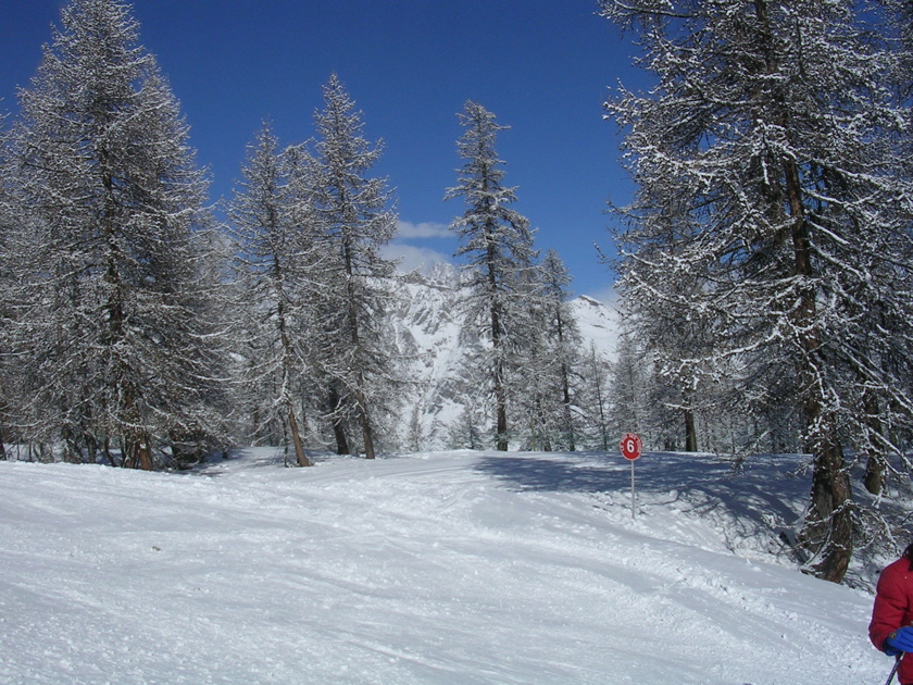 DSCN2649.JPG
