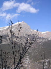 DSCN2509.JPG