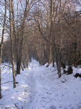 DSCN2517.JPG