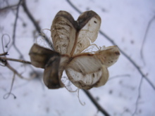 DSCN2518.JPG