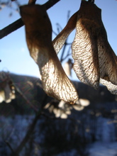 DSCN2526.JPG