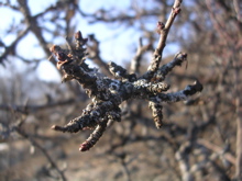 DSCN2527.JPG