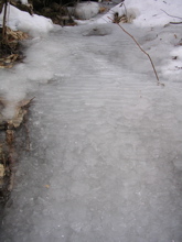 DSCN2528.JPG