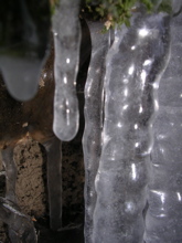 DSCN2531.JPG
