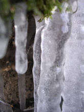 DSCN2532.JPG