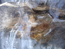 DSCN2533.JPG