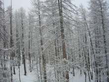 DSCN2616.JPG