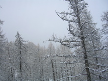 DSCN2617.JPG