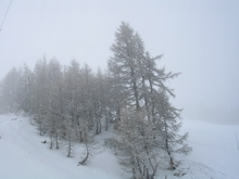 DSCN2620.JPG