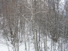 DSCN2621.JPG