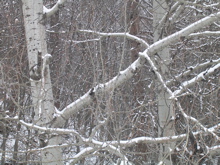 DSCN2622.JPG