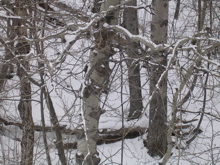 DSCN2623.JPG