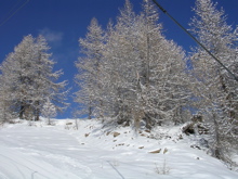 DSCN2646.JPG