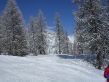 DSCN2649.JPG
