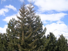 DSCN2653.JPG