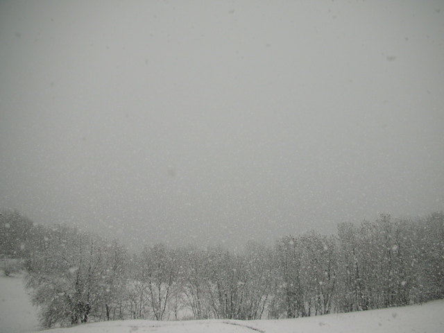 Puy Saint Vincent - 2007 - 1