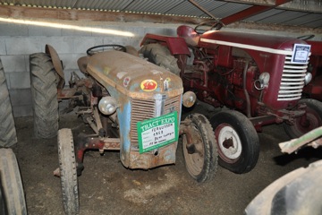 DSC_0381.JPG