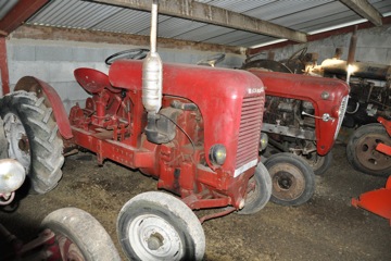 DSC_0383.JPG