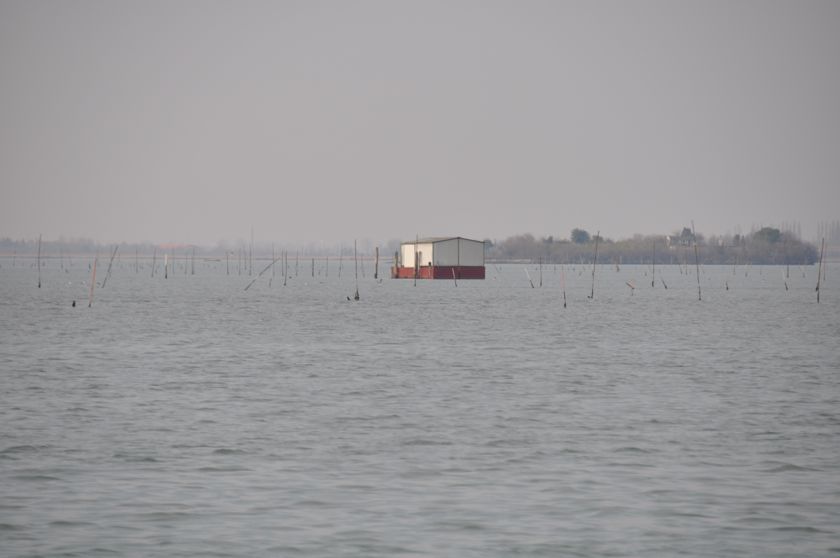 DSC_0644.JPG