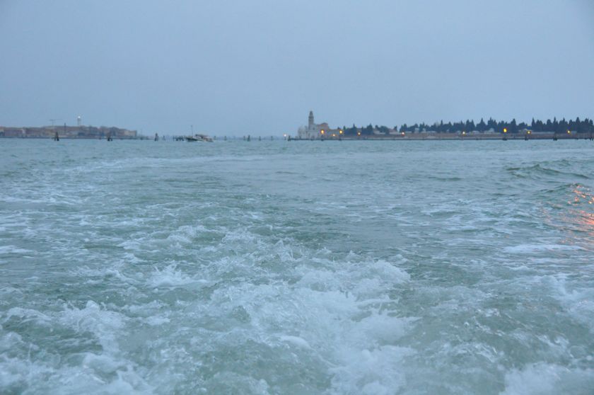 DSC_0687.JPG