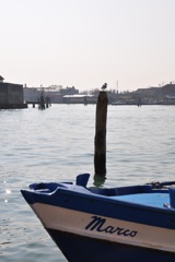 DSC_0634.JPG