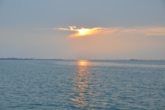 DSC_0675.JPG