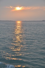 DSC_0677.JPG