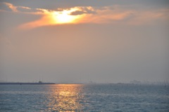 DSC_0678.JPG